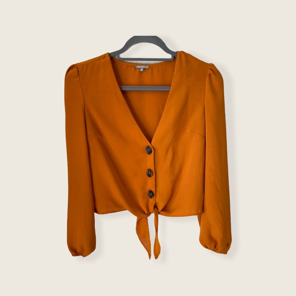 Charlotte Russe V neck and  long sleeve blouse